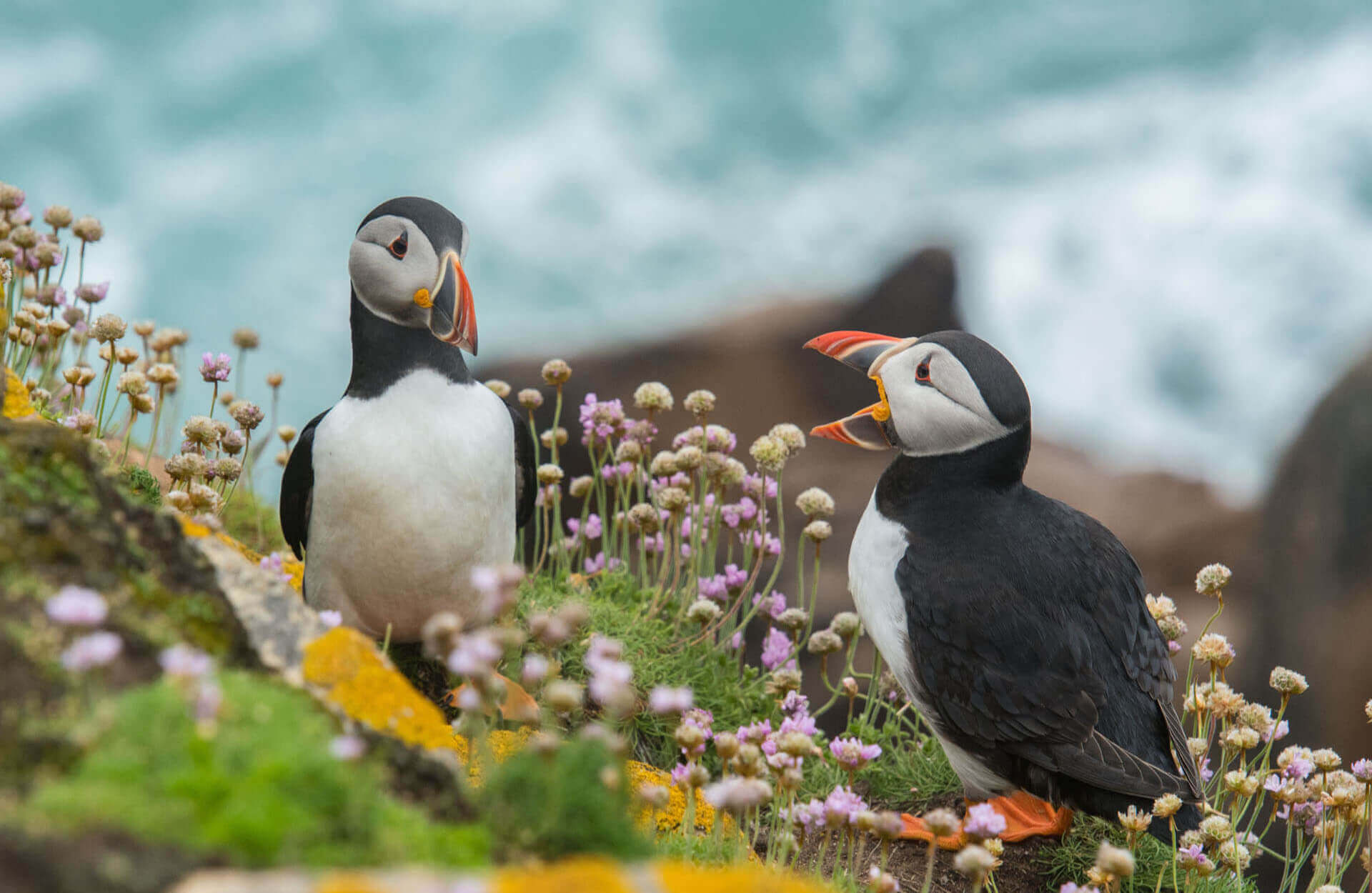 Best Spots to See Wildlife in the U.S.